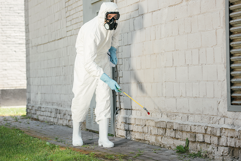 Profissional devidamente protegido e dedetizando faixada da residência.